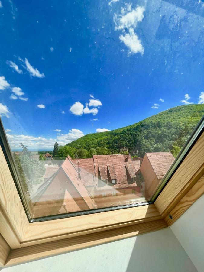 Choupette De La Vallee Avec Garage Kaysersberg-Vignoble Exteriör bild