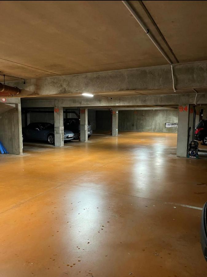 Choupette De La Vallee Avec Garage Kaysersberg-Vignoble Exteriör bild