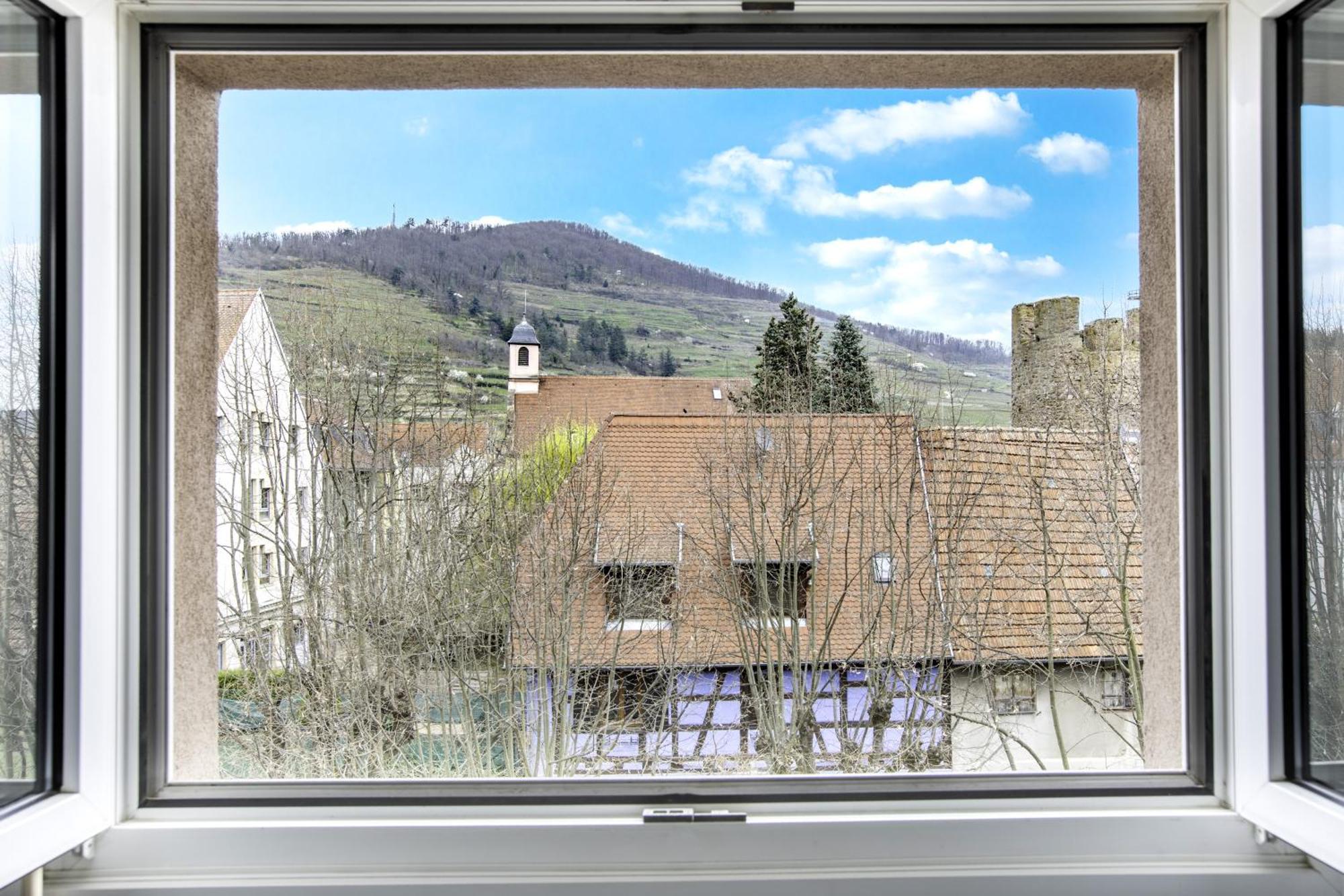 Choupette De La Vallee Avec Garage Kaysersberg-Vignoble Exteriör bild